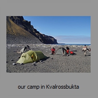 our camp in Kvalrossbukta
